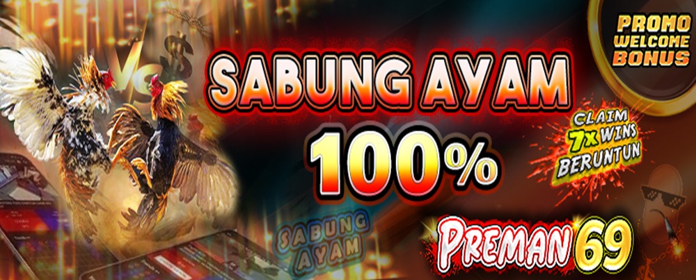 SABUNG AYAM 100%